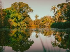 -墨尔本皇家植物园