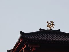 -函谷关历史文化旅游区