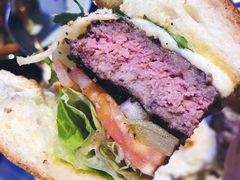 -bluefrog蓝蛙(皇庭广场店)