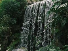 -上海辰山植物园