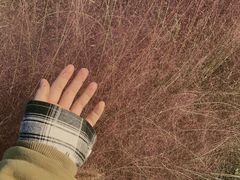 -前小桔亲子创意农场·草莓采摘·露营烧烤