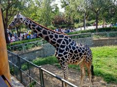 -石家庄市动物园