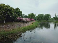 -尚贤河湿地
