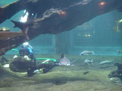 -华夏文旅海洋公园