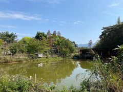 -南海鸽天下(肇庆店)