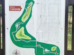 -青龙山国家森林公园