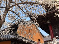 -灵谷景区
