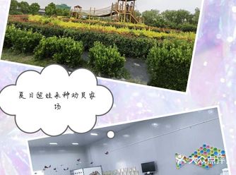 亲子游玩就来//种动员亲子农场    夏天来了