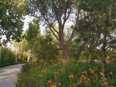 -廊坊文化艺术中心