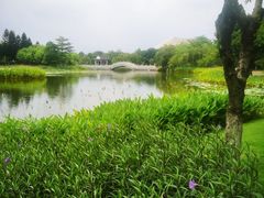 -映月湖公园
