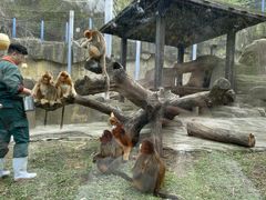 -大连森林动物园