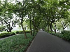 -苏堤停车场
