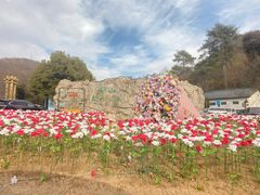 -老山国家森林公园