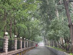 -元大都城垣遗址公园