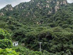 -大岭沟猕猴桃谷风景区