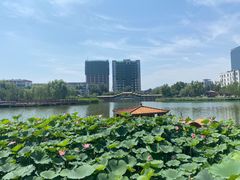 -西海子公园