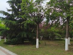 -南翠屏公园