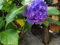 -慢丽江·云南野生菌土鸡锅(付家庄店)