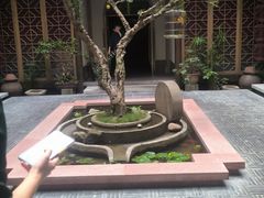 -南堂小馆·川菜馆(德商国际店)