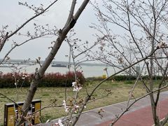 -幕燕滨江·燕子矶公园