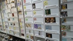 -小鬼当佳儿童摄影(回龙观店)