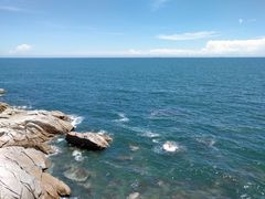 -广东惠东海龟国家级自然保护区