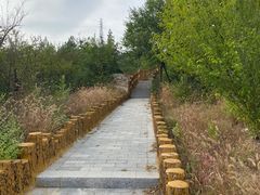 -白水寺森林公园