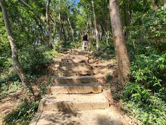 -上海佘山国家森林公园天马山园