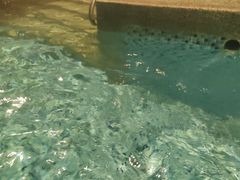 -天泉水都(子固路馆)