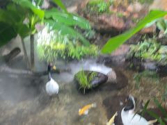 -南昌海洋公园