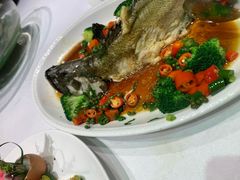 -金满楼(天河中路店)