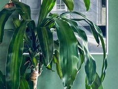 -ADO KAFE(大学城店)