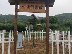 -龙寺生态园