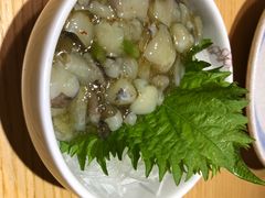 -富山日式料理(宽厚里店)