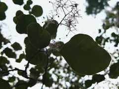 -周口店北京人遗址公园