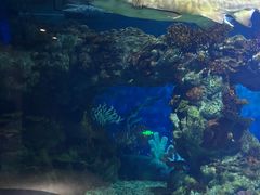 -上海海昌海洋公园