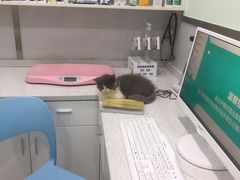 -佳雯宠物医院(金华南路分院)