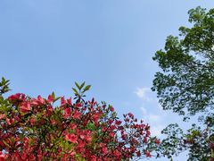 -杭州植物园
