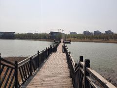 -武清南湖绿博园