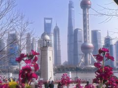 -北外滩滨江绿地