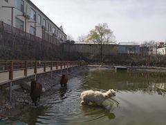 -北京鹿世界主题园