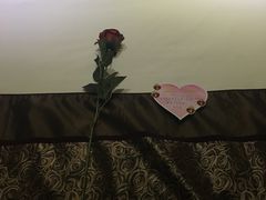 -美豪怡致酒店(上海长寿路店)