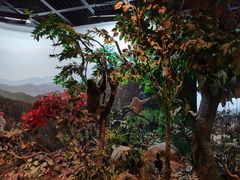 -陕西自然博物馆