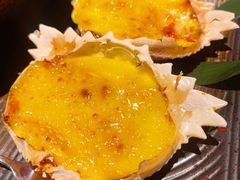 烤蟹宝-青叶日式料理(飘亮阳光广场店)