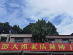 -彭大姐老店黄辣丁(新津店)