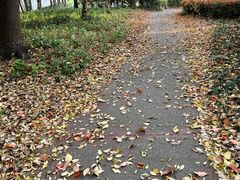 -虹口区工人文化宫