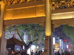 -黑色经典臭豆腐·湖南特产(太平街口店)