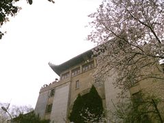 -武汉大学-樱园