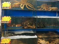 -蚝专家(北滘店)