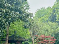 -杭州植物园